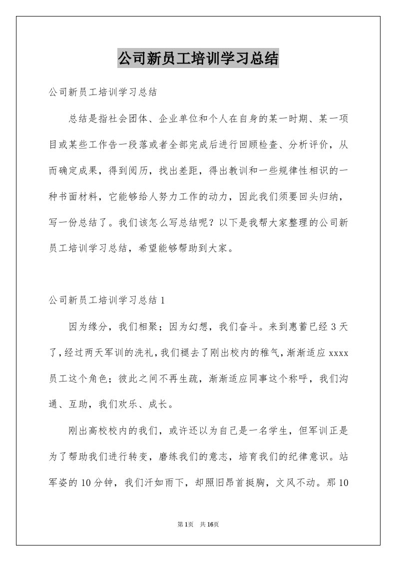 公司新员工培训学习总结例文