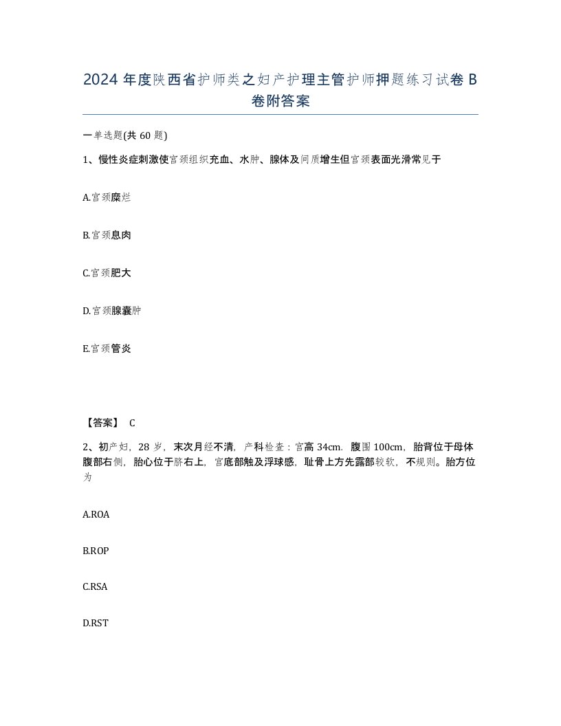 2024年度陕西省护师类之妇产护理主管护师押题练习试卷B卷附答案