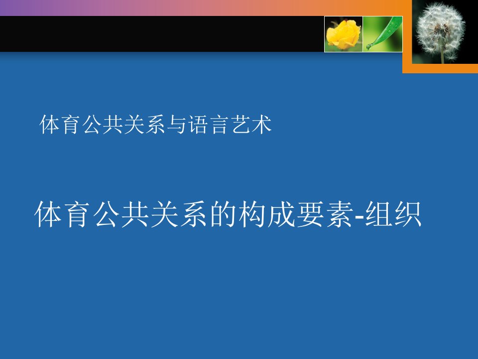 [精选]体育公共关系的构成要素之组织