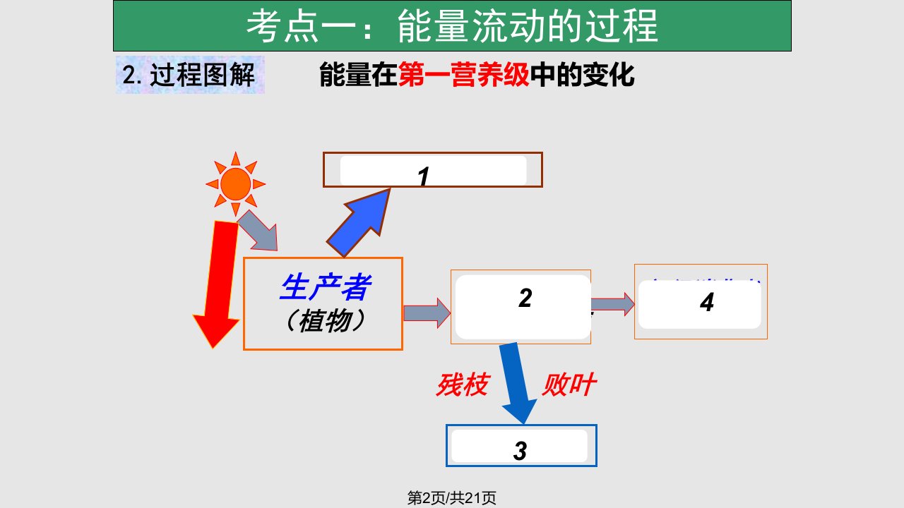 生态系统的能量流动一轮复习