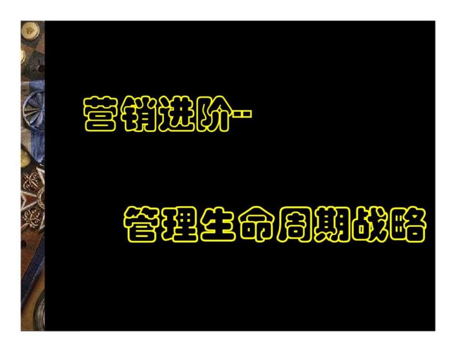 营销进阶管理生命周期战略ppt课件