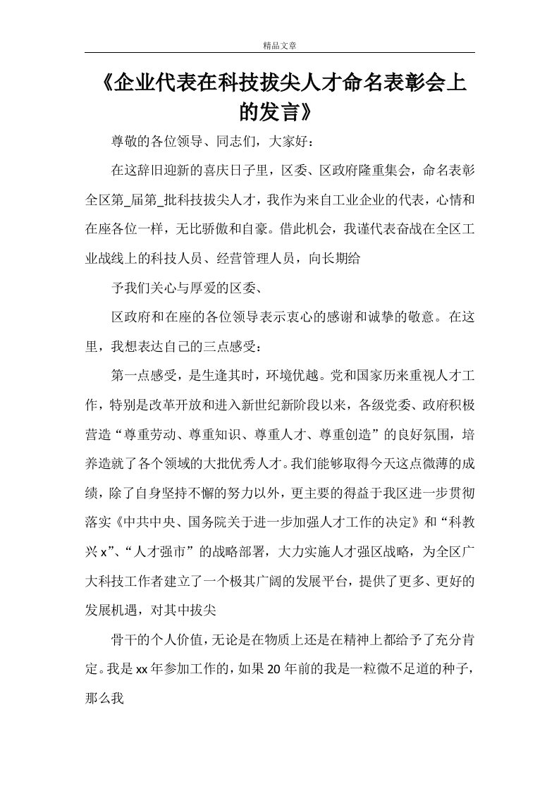 《企业代表在科技拔尖人才命名表彰会上的发言》