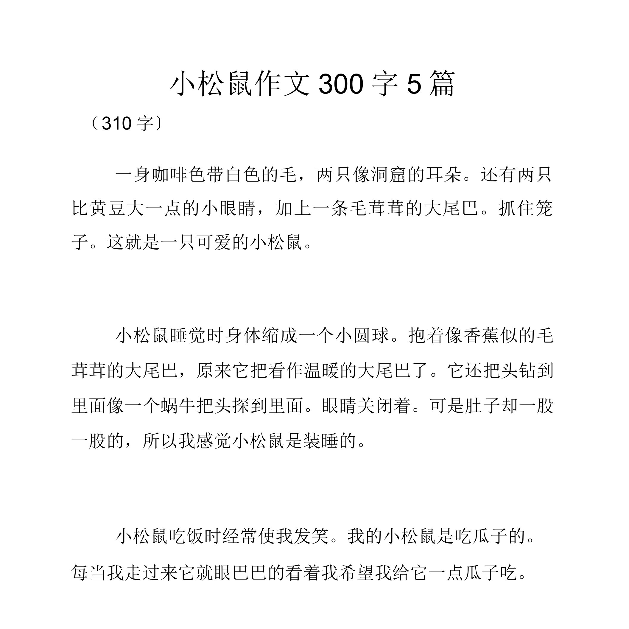 小松鼠作文300字5篇