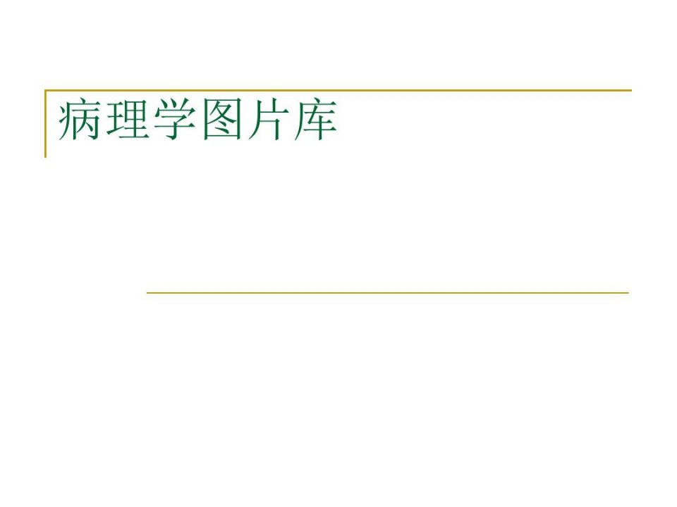 病理学实验切片考试题图集