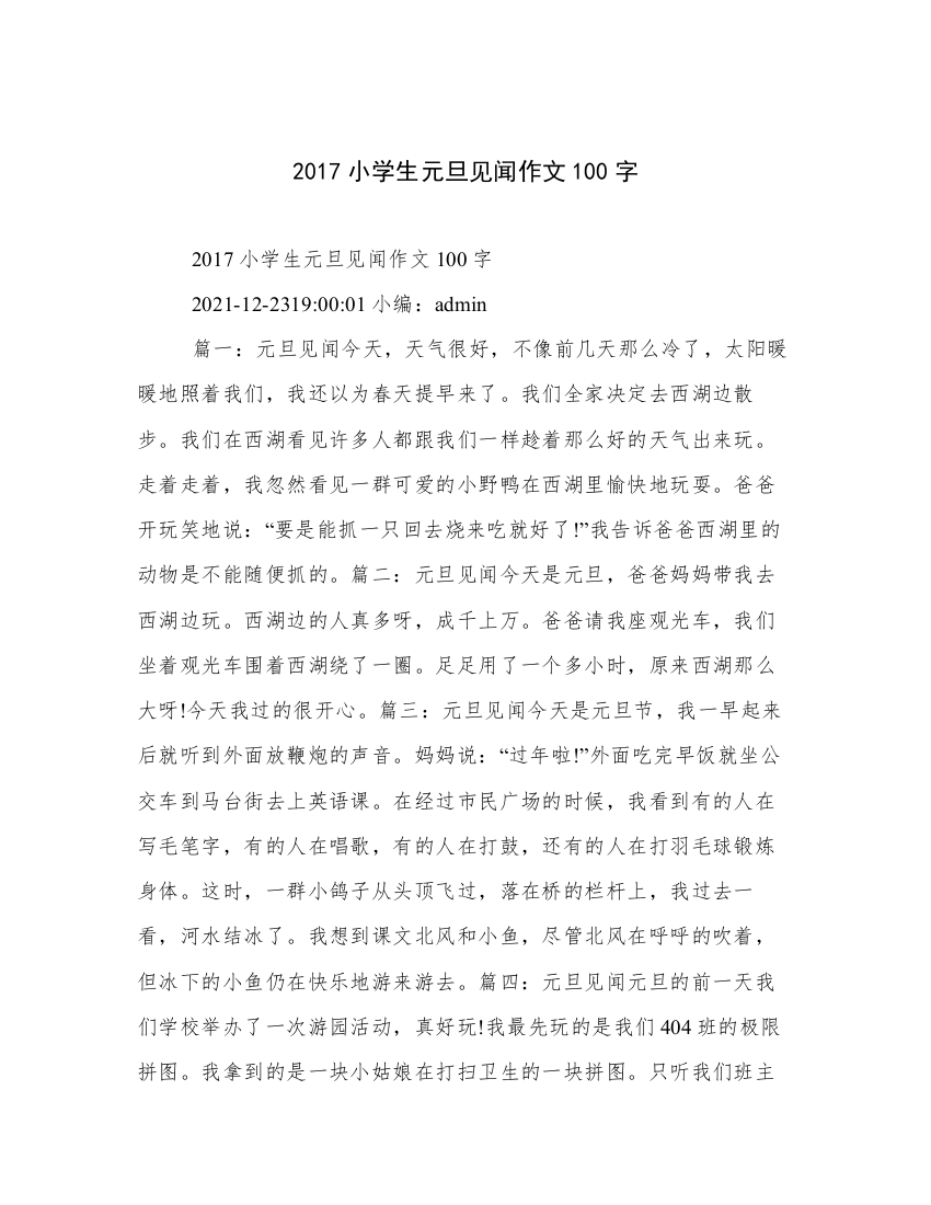 2017小学生元旦见闻作文100字