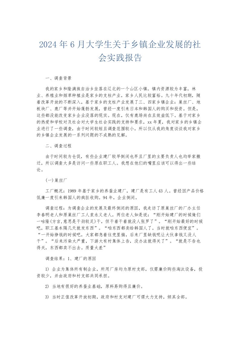 总结报告2024年6月大学生关于乡镇企业发展的社会实践报告