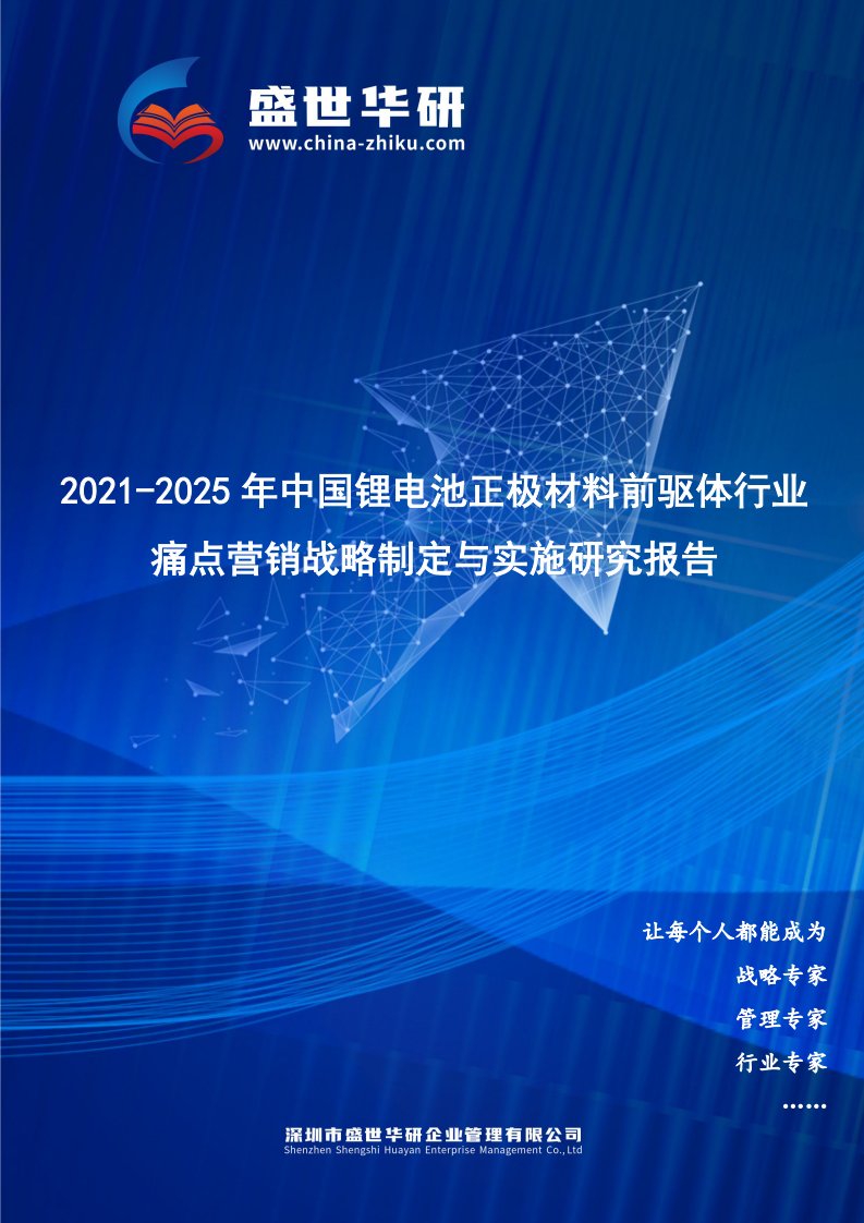 2021-2025年中国锂电池正极材料前驱体行业痛点营销战略制定与实施研究报告