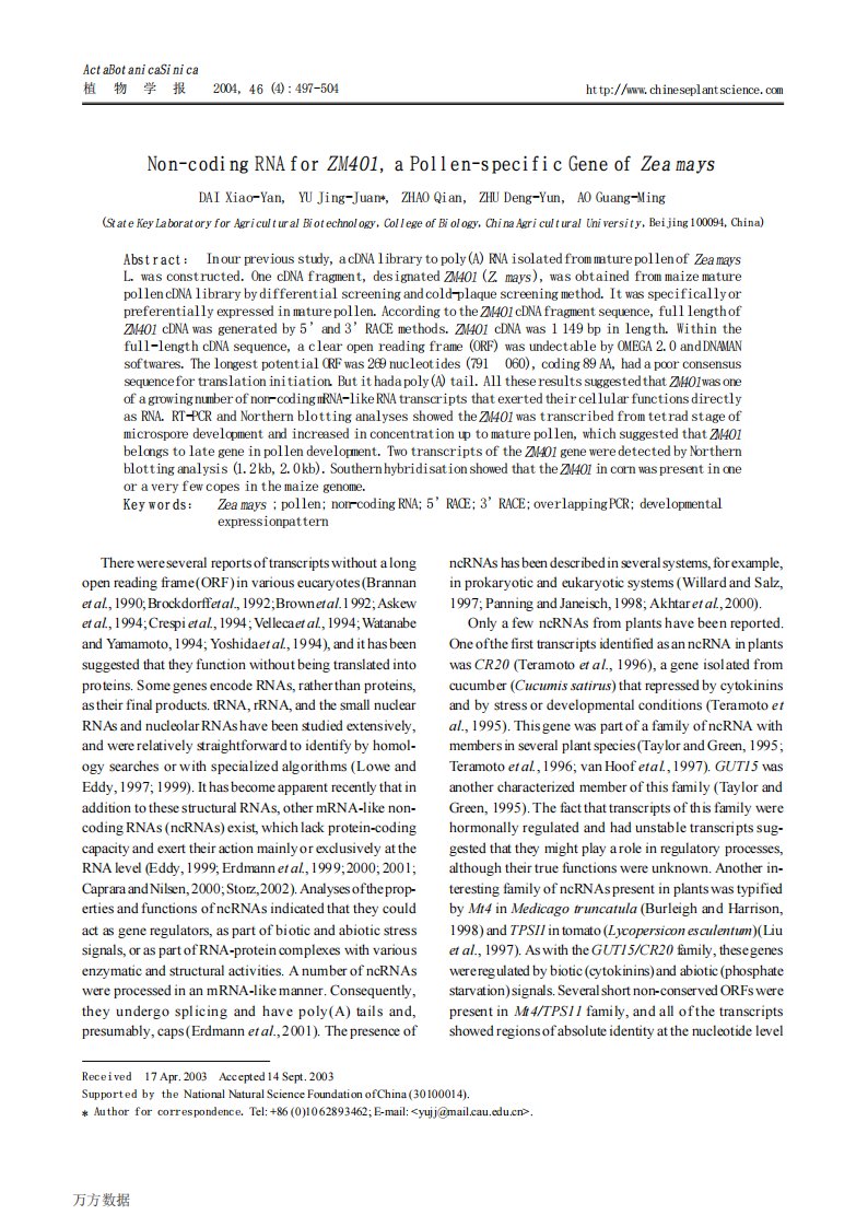 玉米花粉特异的非编码RNA基因ZM401+cDNA全长的克隆其发育表达模式