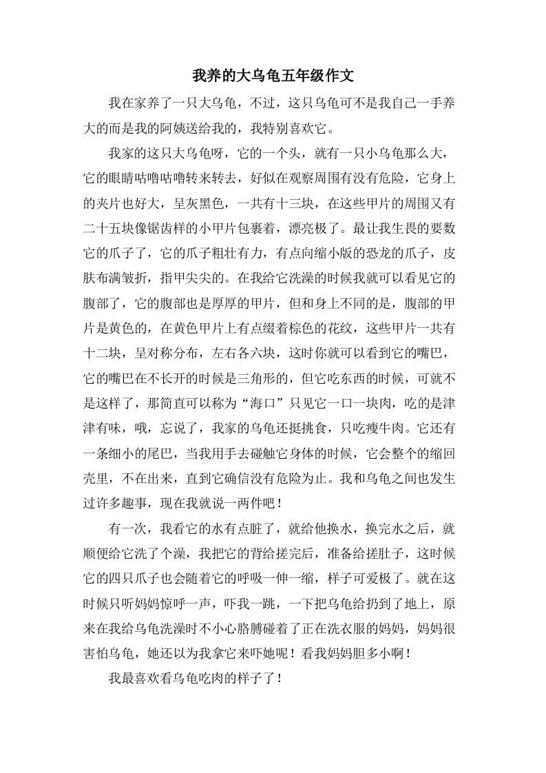 我养的大乌龟五年级作文