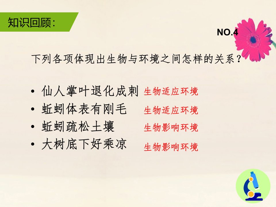 八年级生物下册第5章生态系统5.2生态系统的结构与组成课件沪教版