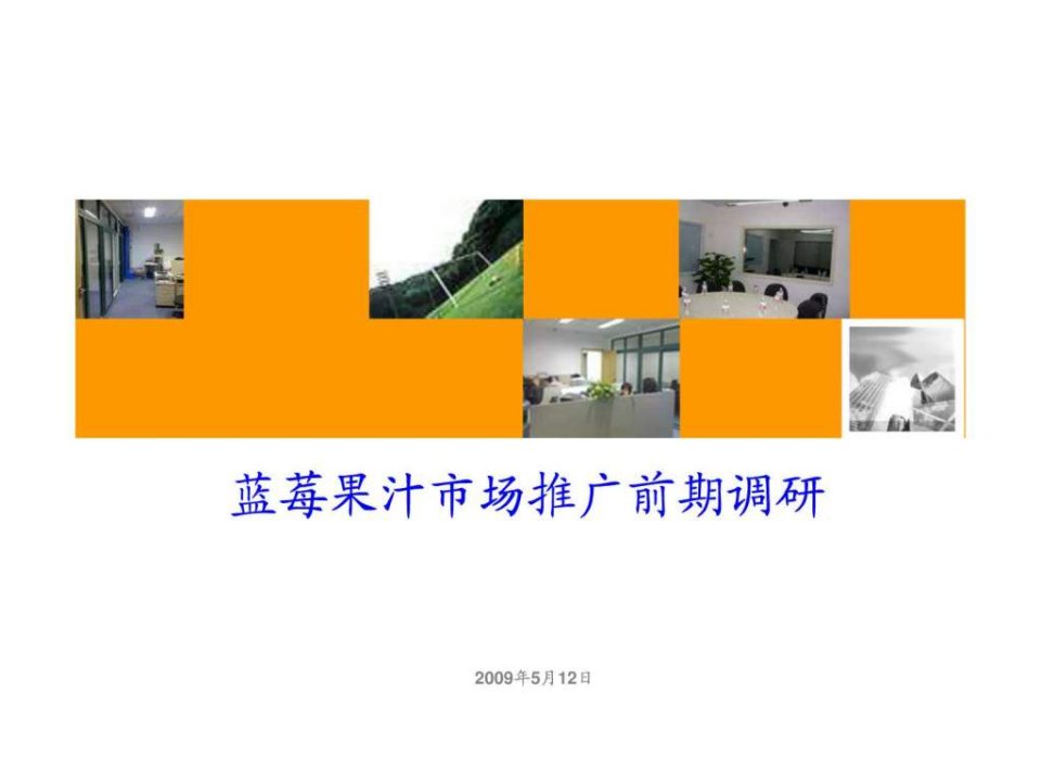 蓝莓果汁市场调查报告北京.ppt