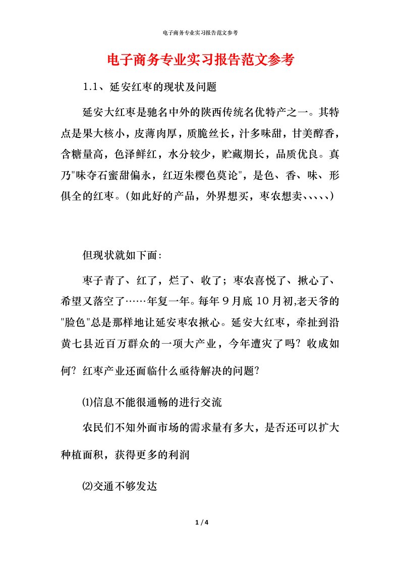 电子商务专业实习报告范文参考