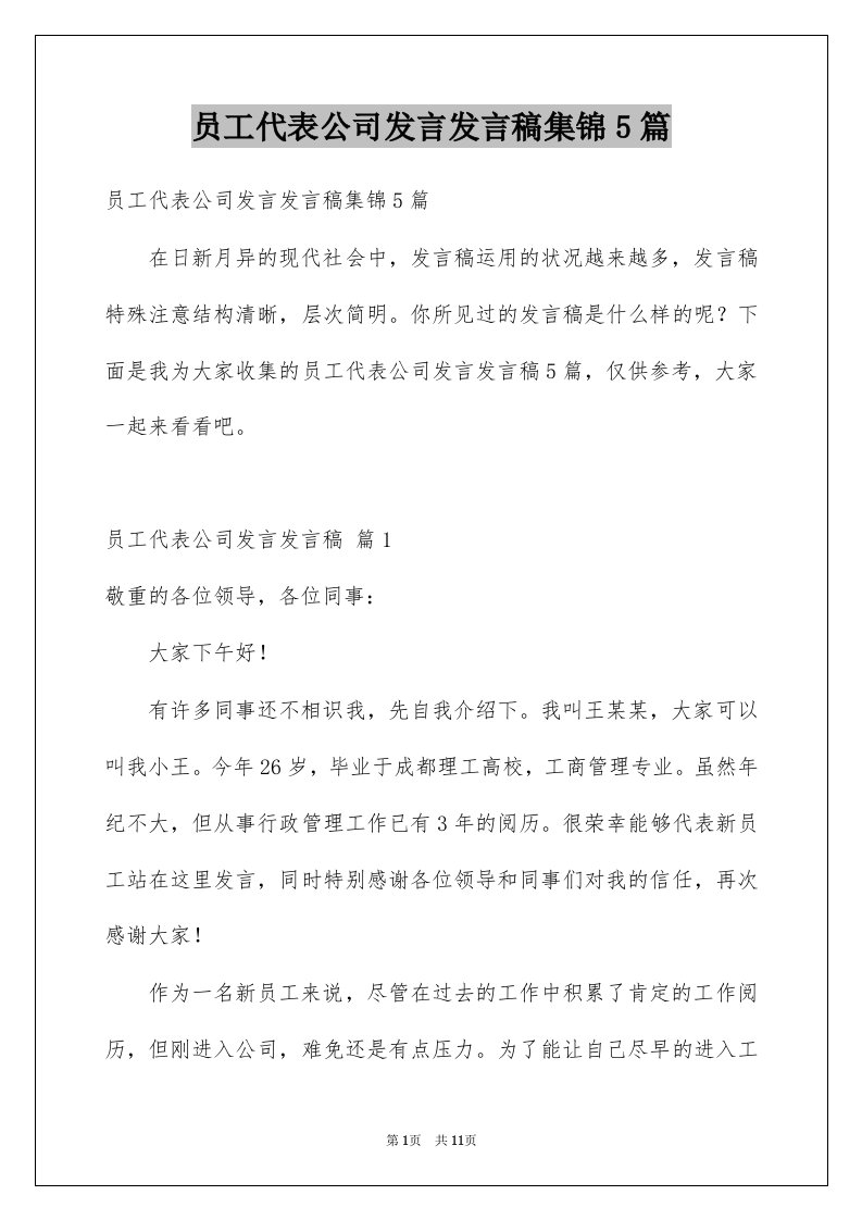 员工代表公司发言发言稿集锦5篇