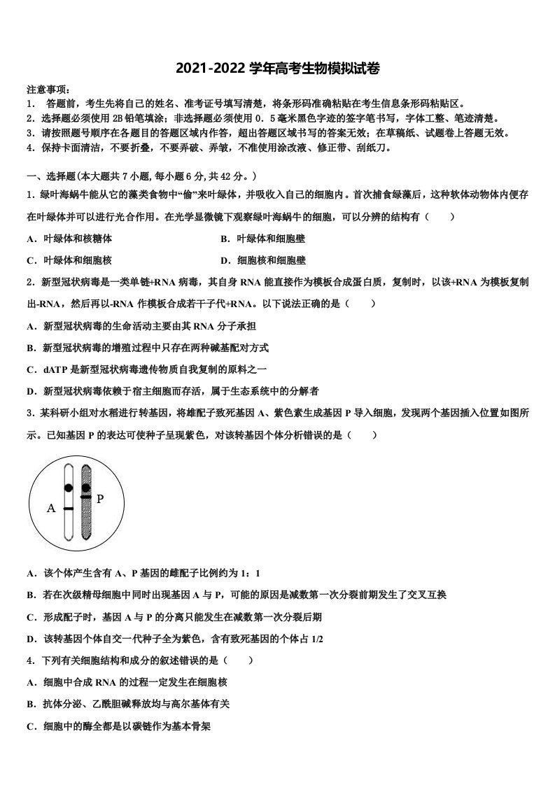 2021-2022学年广东省广州中科高三第六次模拟考试生物试卷含解析