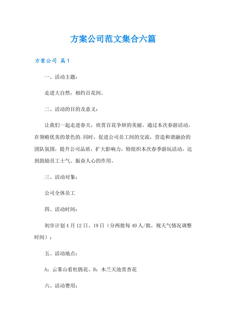 方案公司范文集合六篇