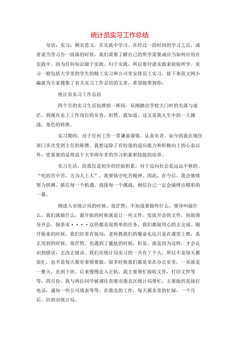 统计员实习工作总结