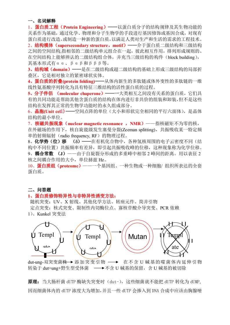 蛋白质工程重点