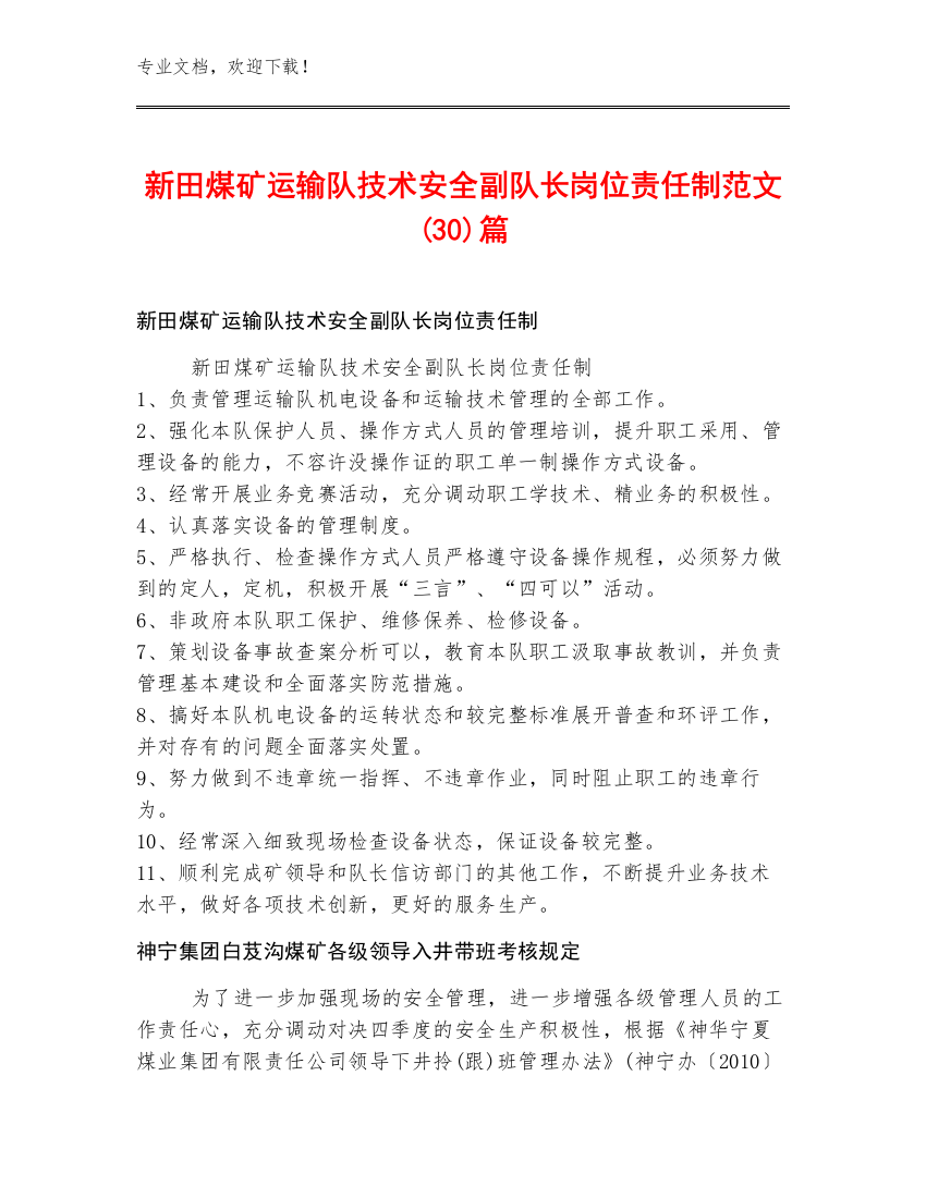 新田煤矿运输队技术安全副队长岗位责任制范文(30)篇