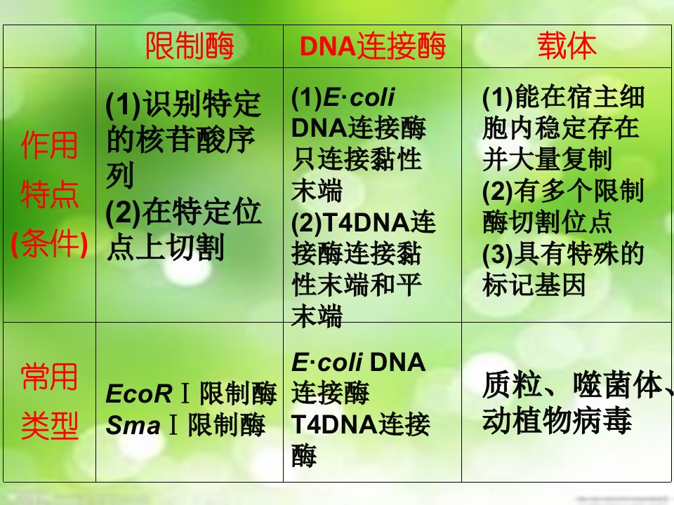 专题一基因工程复习课ppt课件