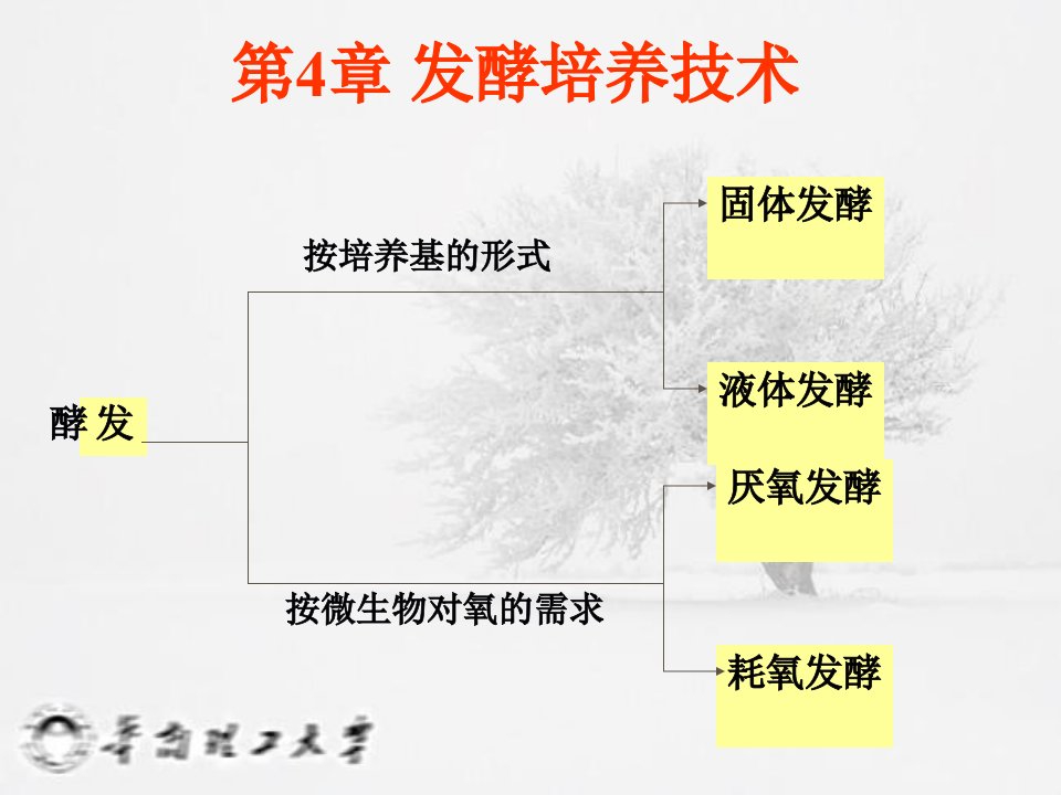 第4章发酵培养技术