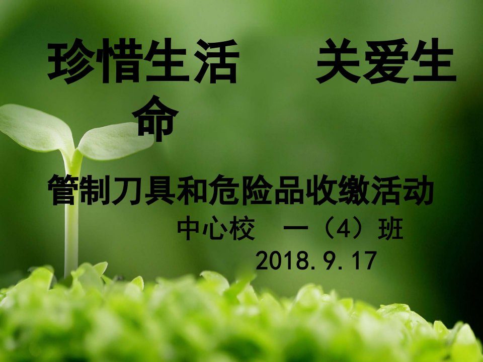 珍惜生命-管制刀具主题班会幻灯片