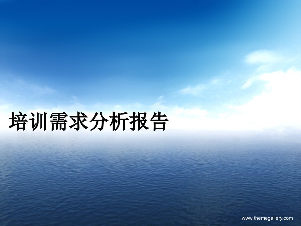 金钱豹培训需求分析报告