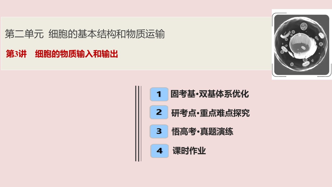 2020高考生物一轮复习ppt课件：第二单元第3讲细胞的物质输入和输出