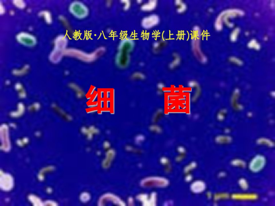 人教版八年级生物学上册课件