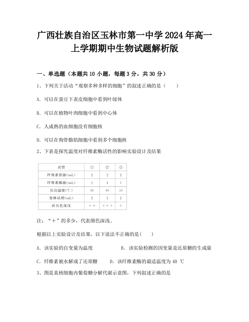 广西壮族自治区玉林市第一中学2024年高一上学期期中生物试题解析版