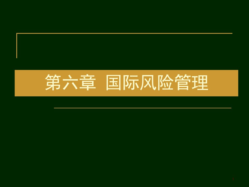 《国际企业风险管理》PPT课件