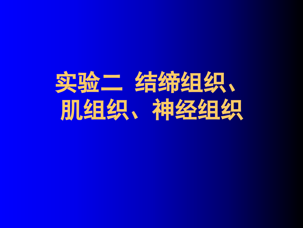 实验二结缔组织肌组织神经组织ppt课件