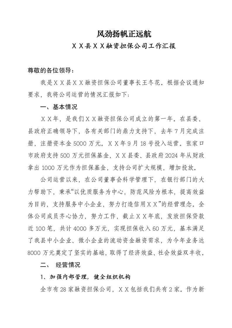 融资担保公司工作汇报