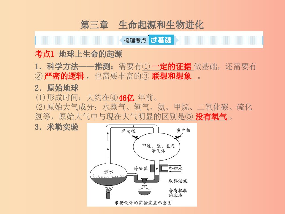 聊城专版山东省2019年中考生物总复习第七单元生物圈中生命的延续和发展第三章生命起源和生物进化课件