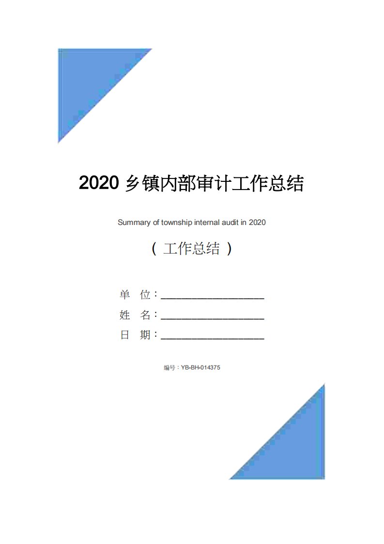 2020乡镇内部审计工作总结