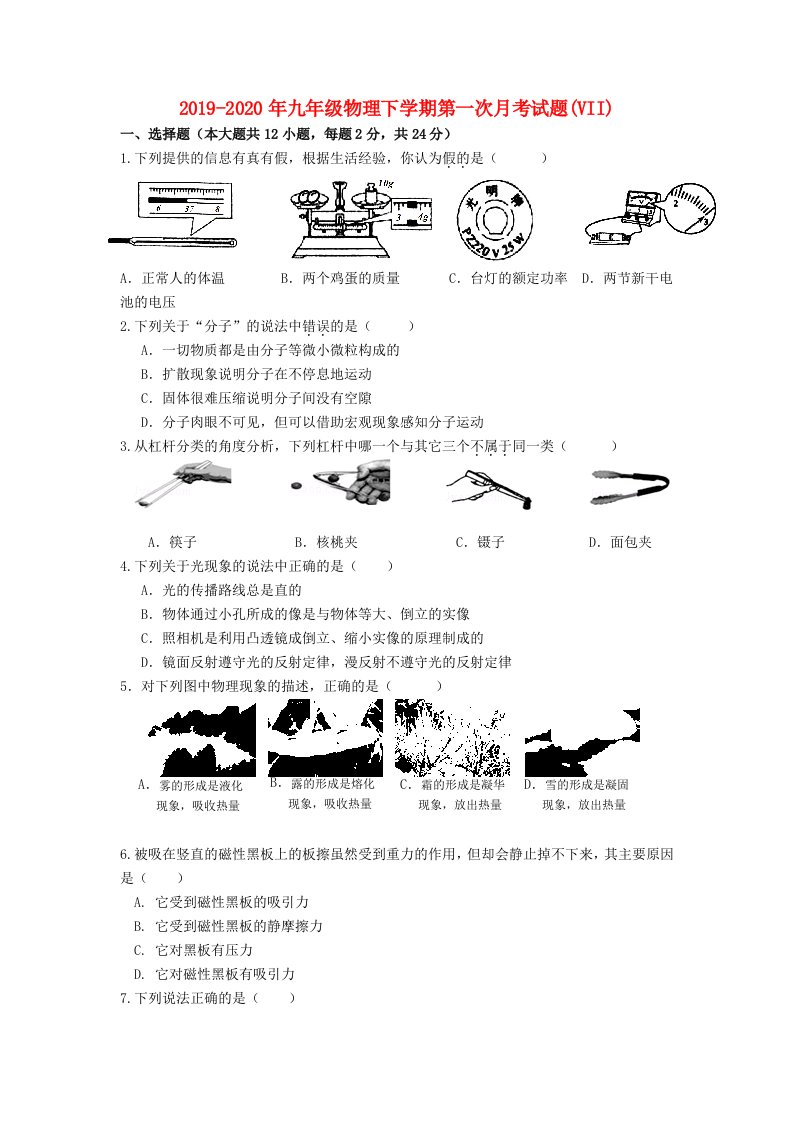 2019-2020年九年级物理下学期第一次月考试题(VII)