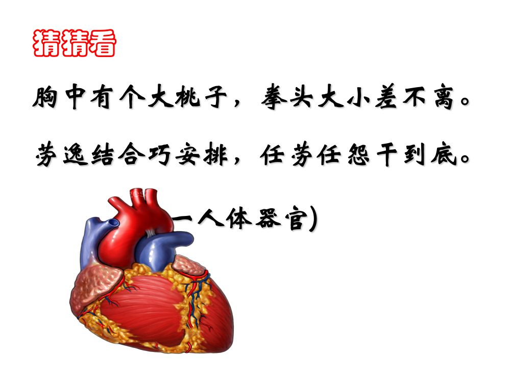 公开课4.3输送血液泵-心脏