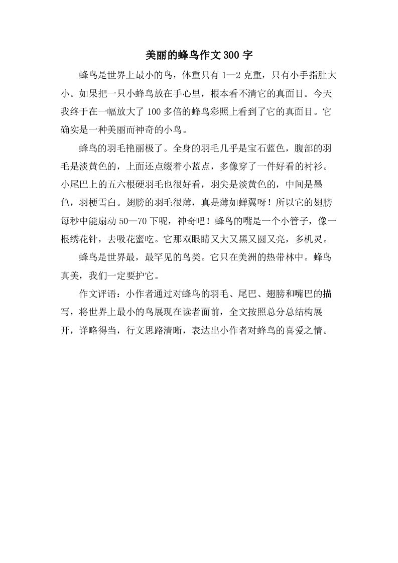 美丽的蜂鸟作文300字