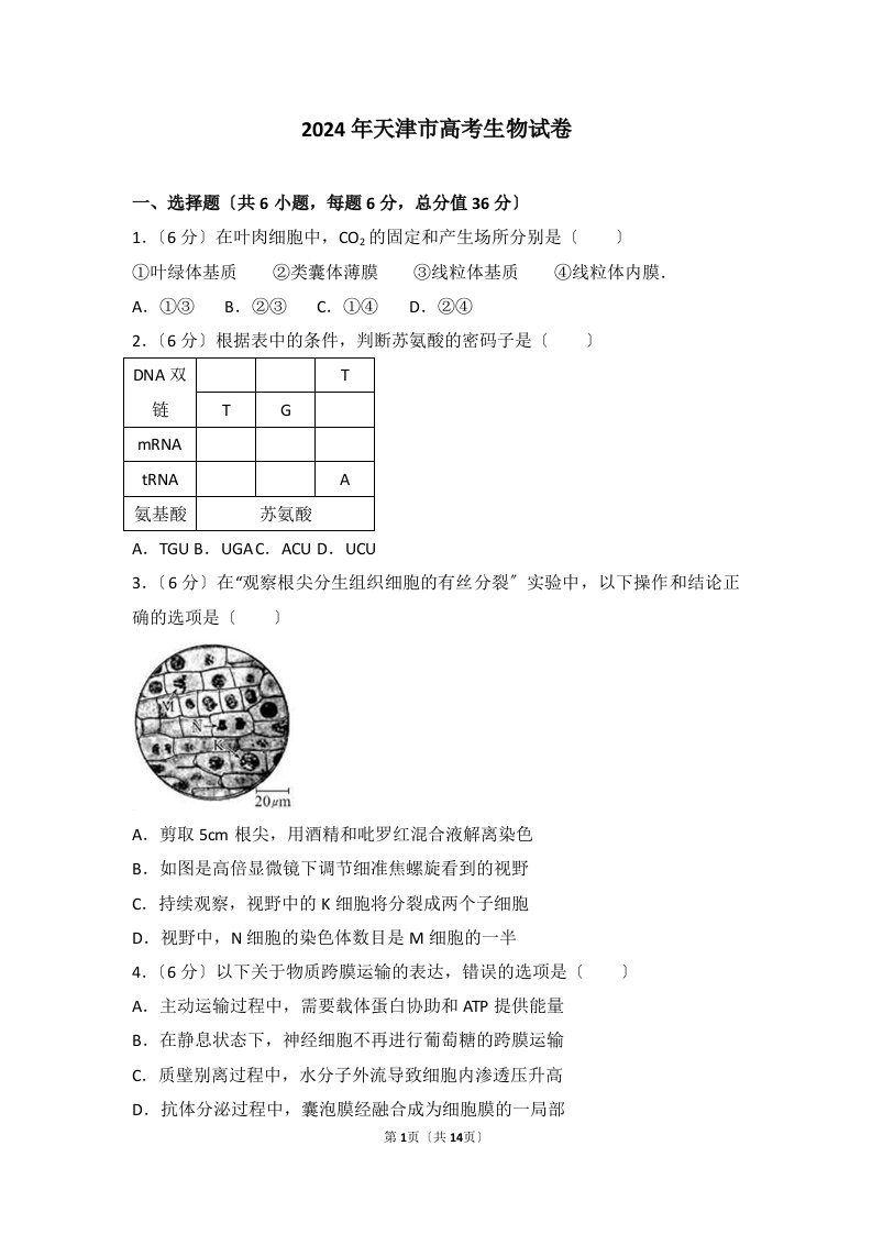 2024年天津市高考生物试卷