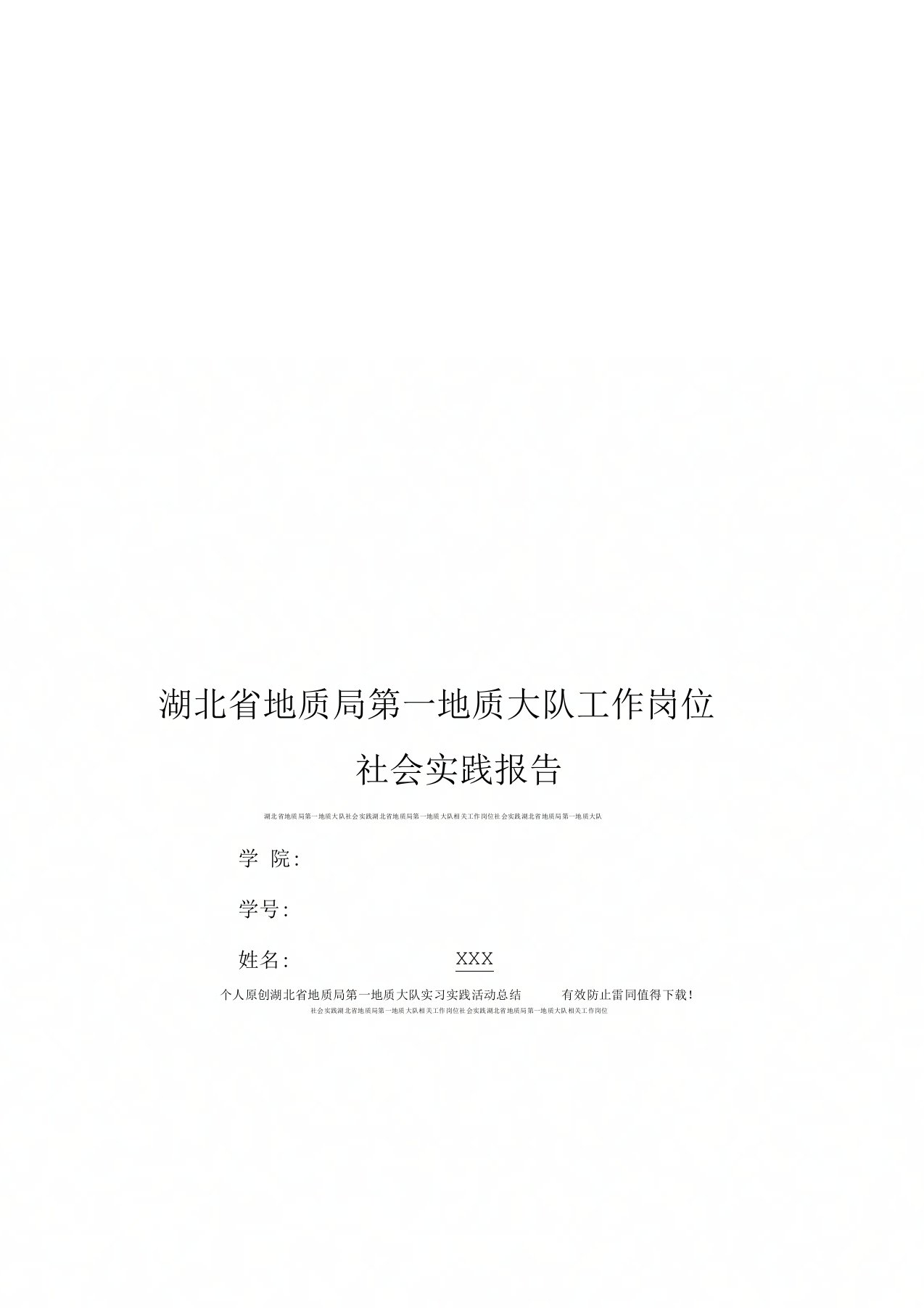 湖北省地质局第一地质大队社会实践报告