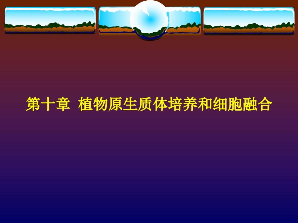 第十章植物原生质体培养和细胞融合