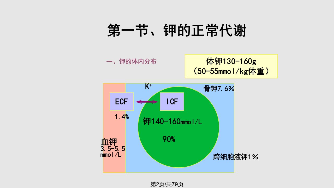 病理生理学钾代谢紊乱