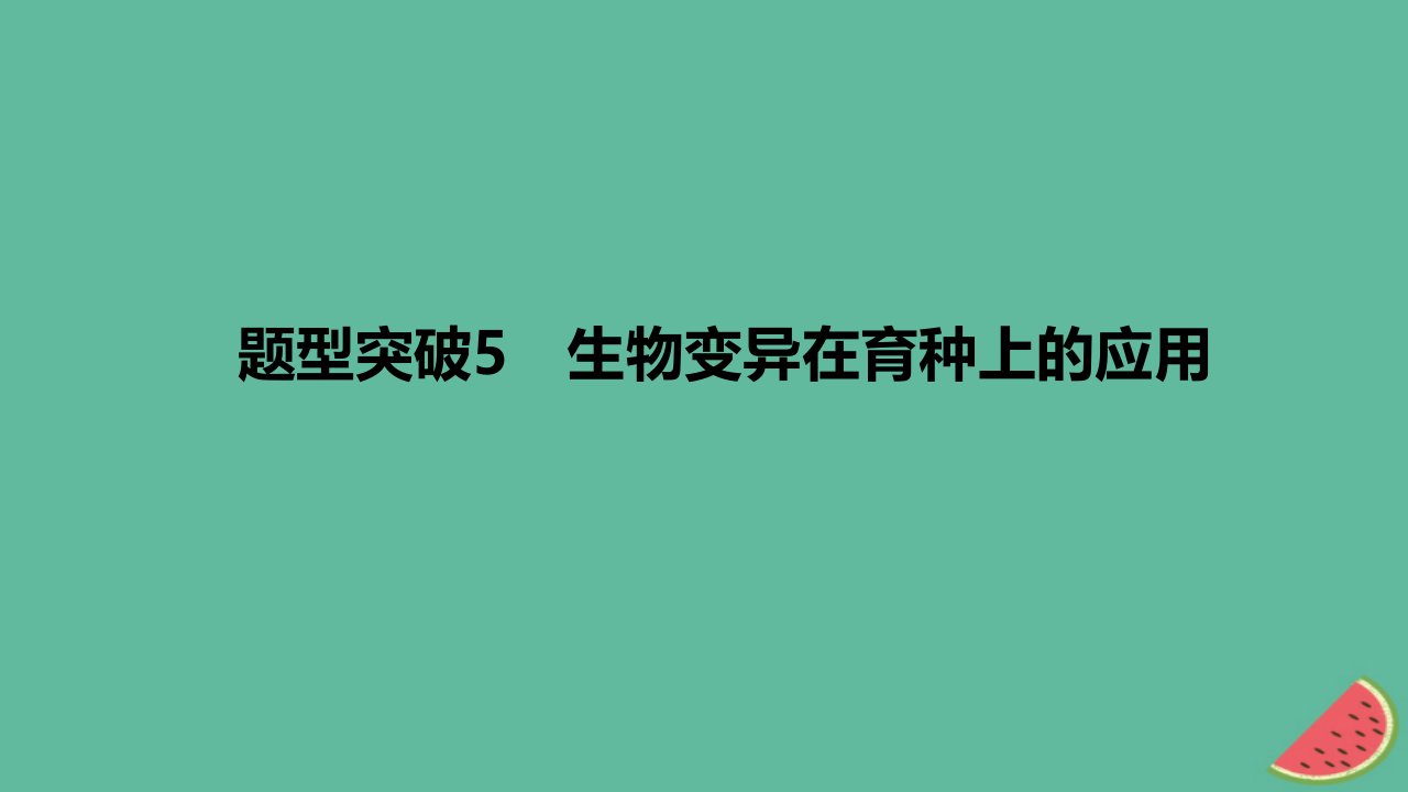 2024版高考生物一轮复习专题基础练专题七生物的变异与进化题型突破5生物变异在育种上的应用作业课件