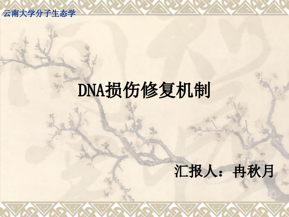 DNA的损伤修复机制ppt课件