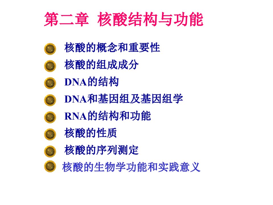 0核酸的结构与功能