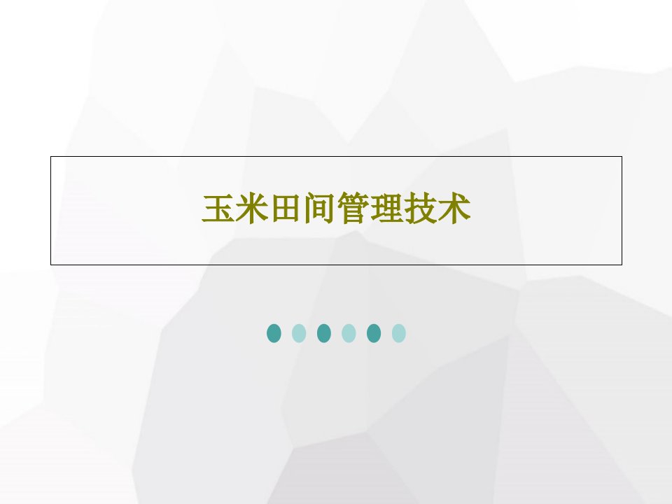 玉米田间管理技术PPT文档28页