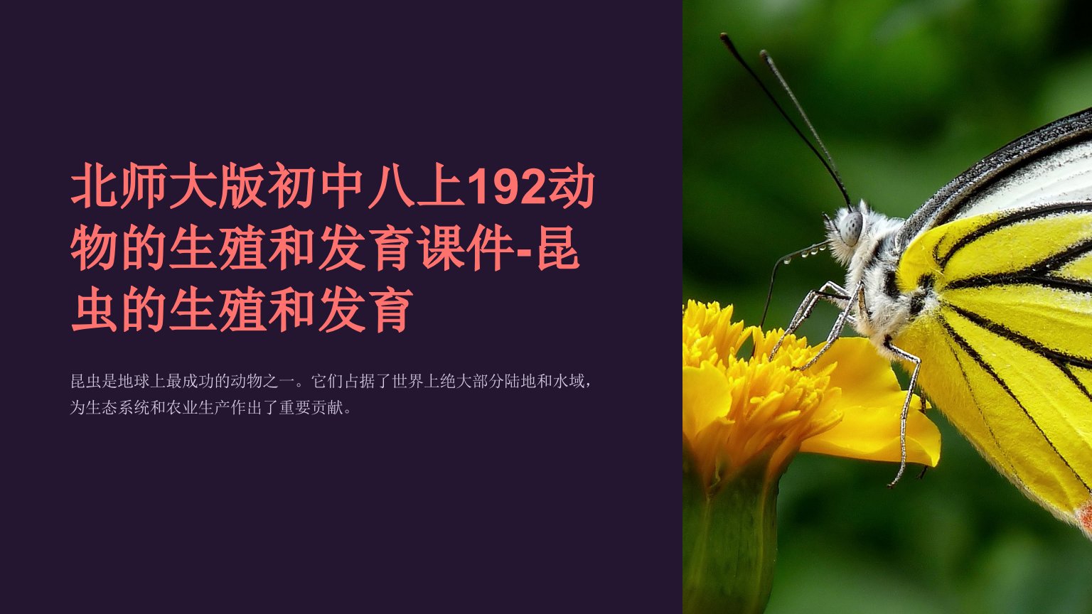 北师大版初中八上192动物的生殖和发育课件-昆虫的生殖和发育