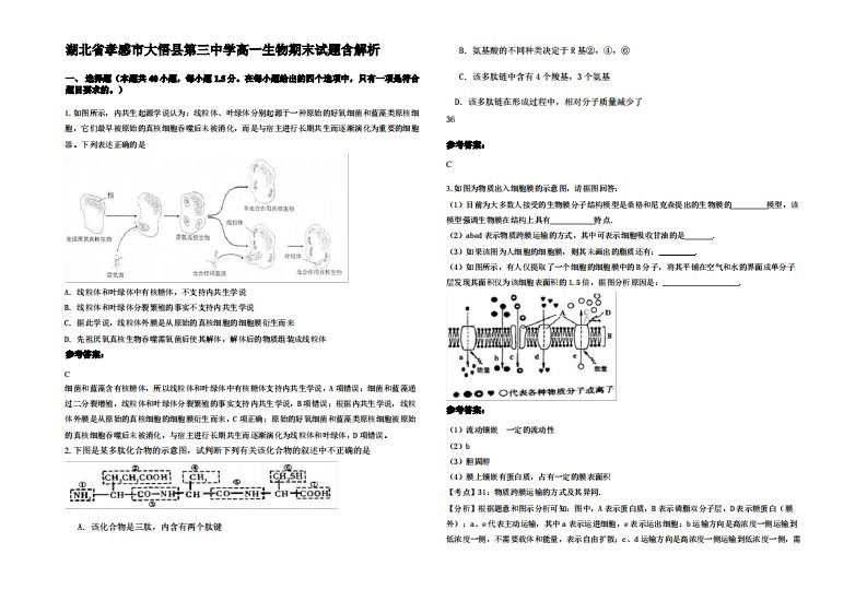 湖北省孝感市大悟县第三中学高一生物期末试题含解析