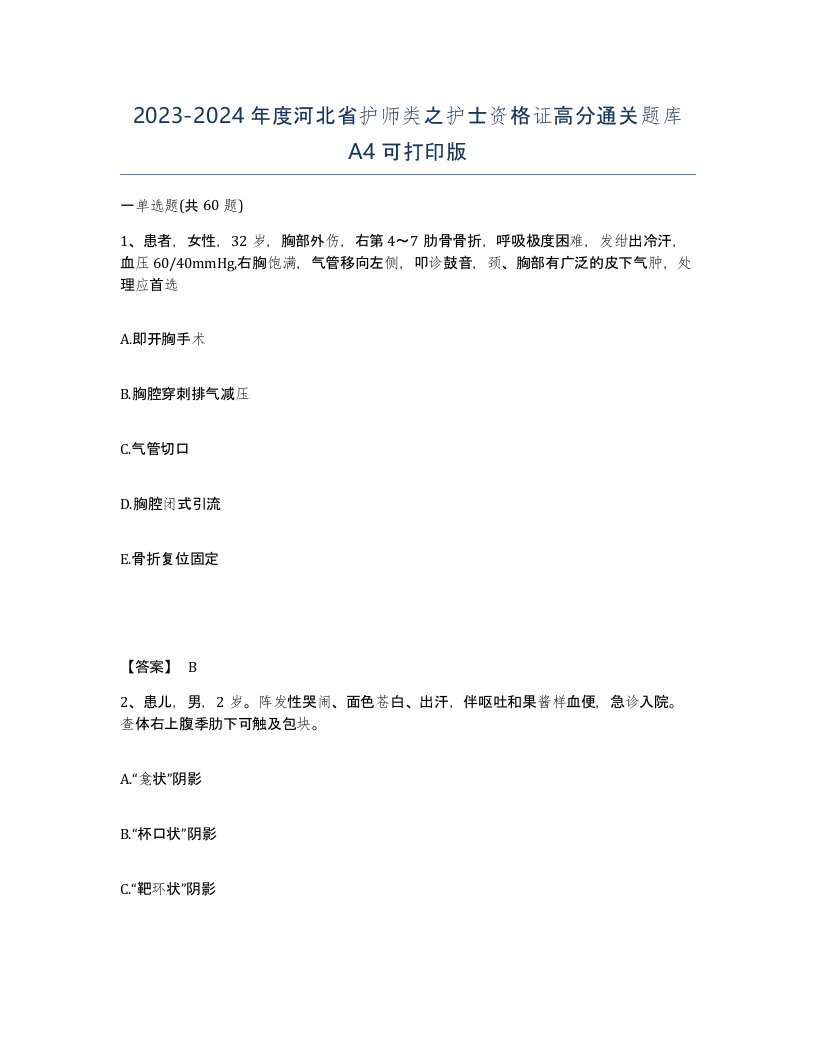 2023-2024年度河北省护师类之护士资格证高分通关题库A4可打印版