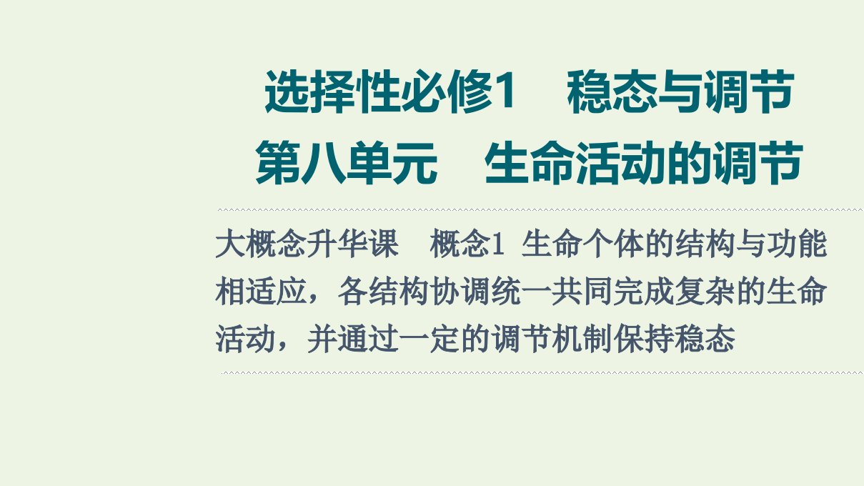 2022版新教材高考生物一轮复习第8单元生命活动的调节大概念升华课选择性必修概念1课件新人教版