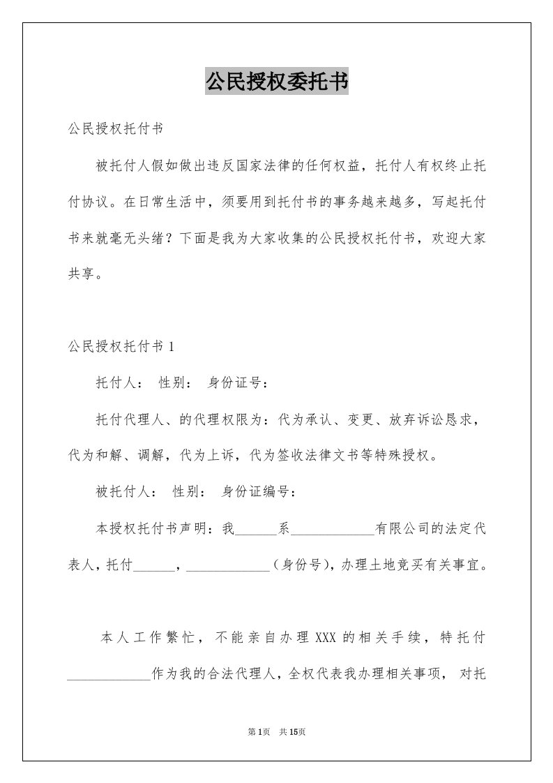 公民授权委托书精选